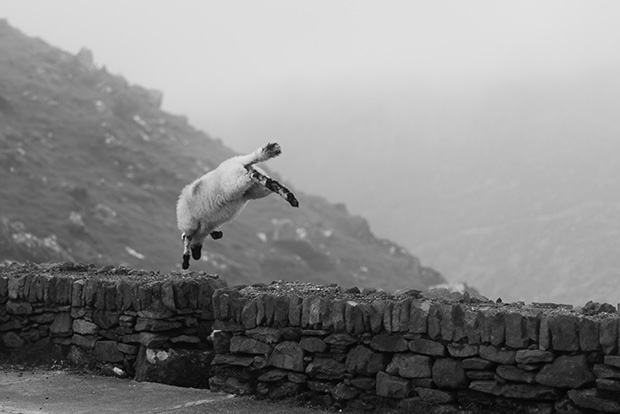 A Wild Atlantic, Harbour Wedding With Celtic Charm: Anita & Martin