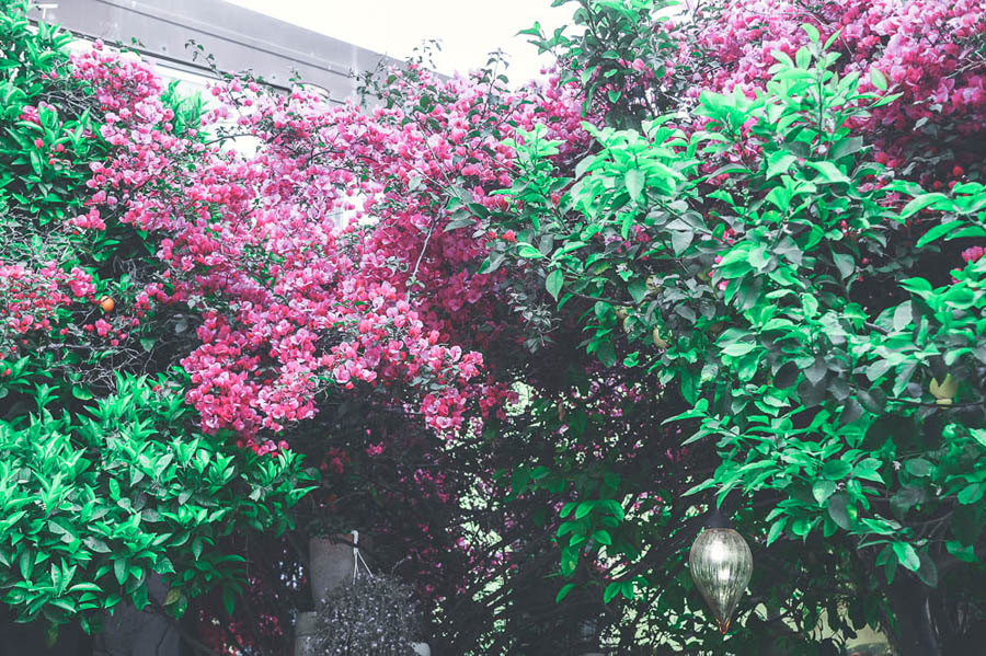 DF1_6686_1 DF1_6686_1